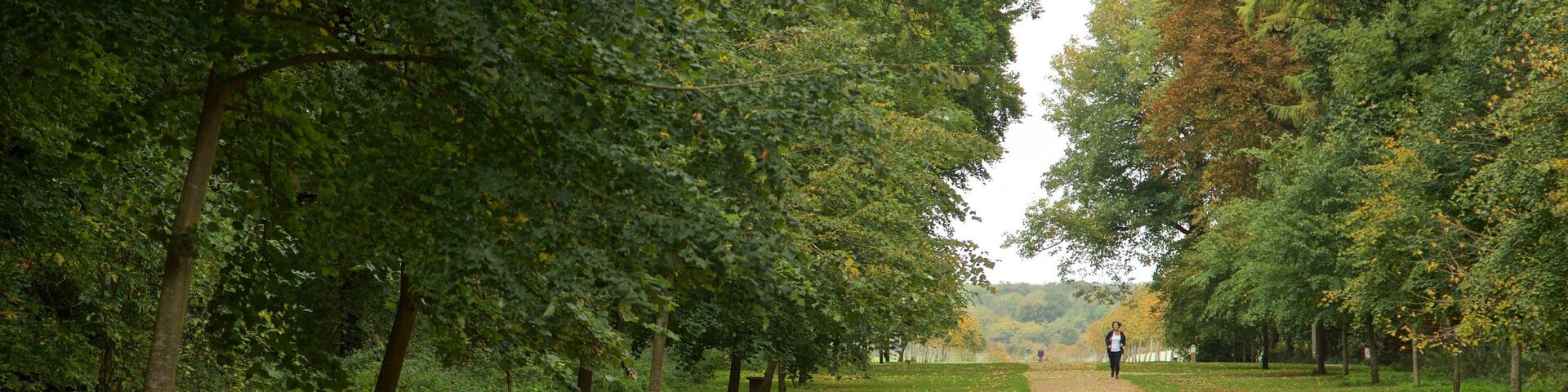Parc Lydiard qui includes feuilles d\'automne et jardin