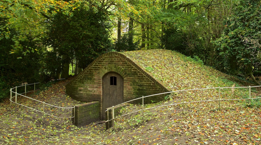 Lydiard Park showing autumn leaves, a garden and heritage elements