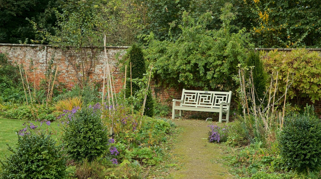 Lydiard Park which includes wild flowers and a garden