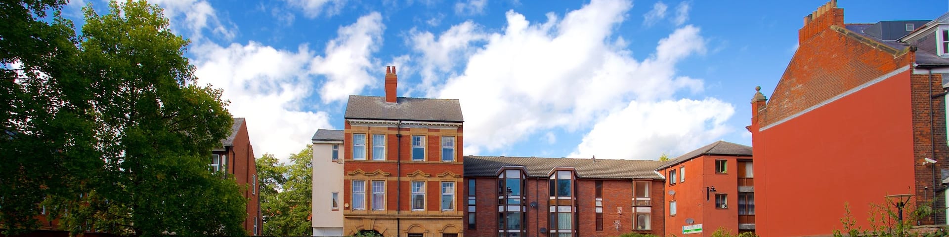 Museum Quarter which includes a garden