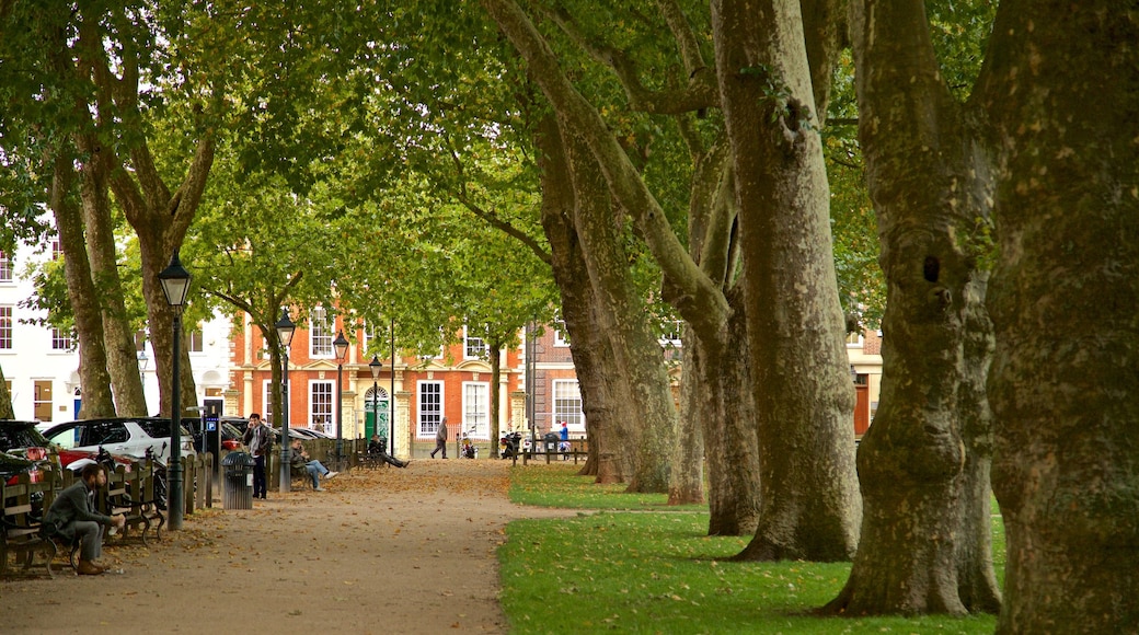 Queen Square que incluye jardín