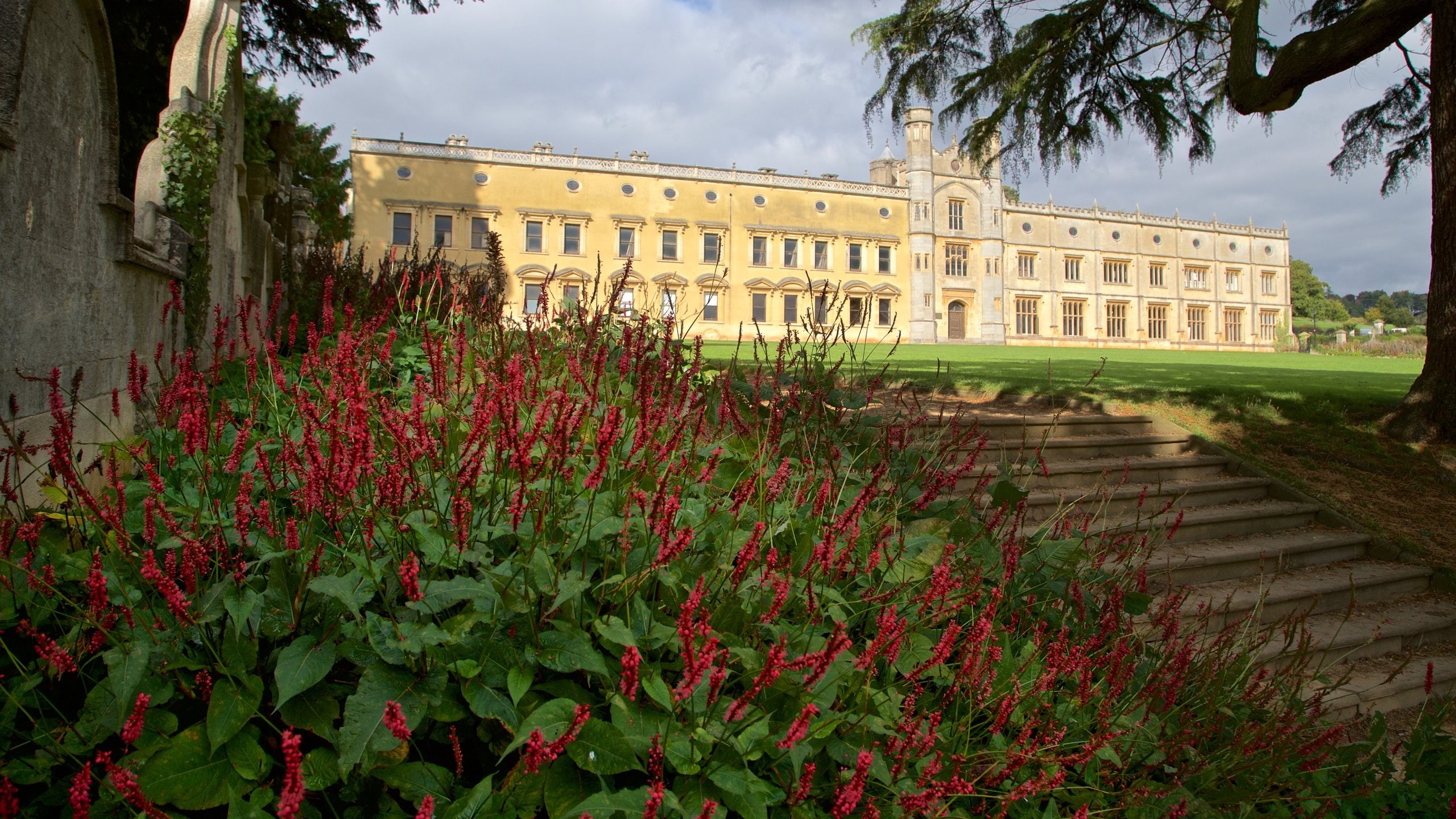 Ashton Court Mansion showing heritage architecture, a house and wildflowers