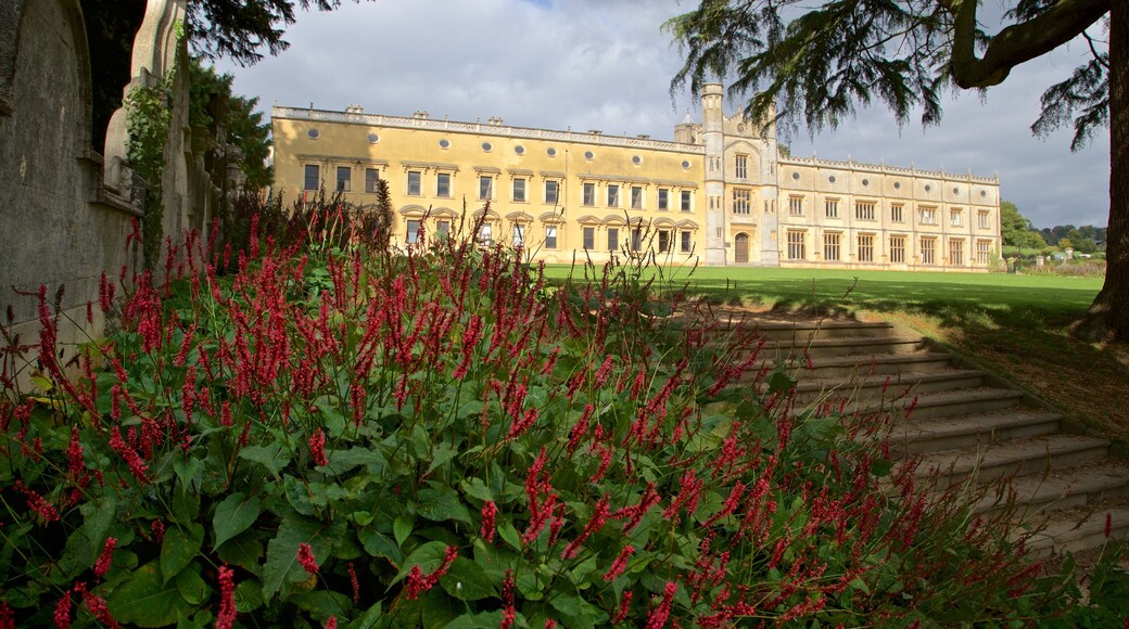 Ashton Court Mansion showing heritage architecture, a house and wildflowers
