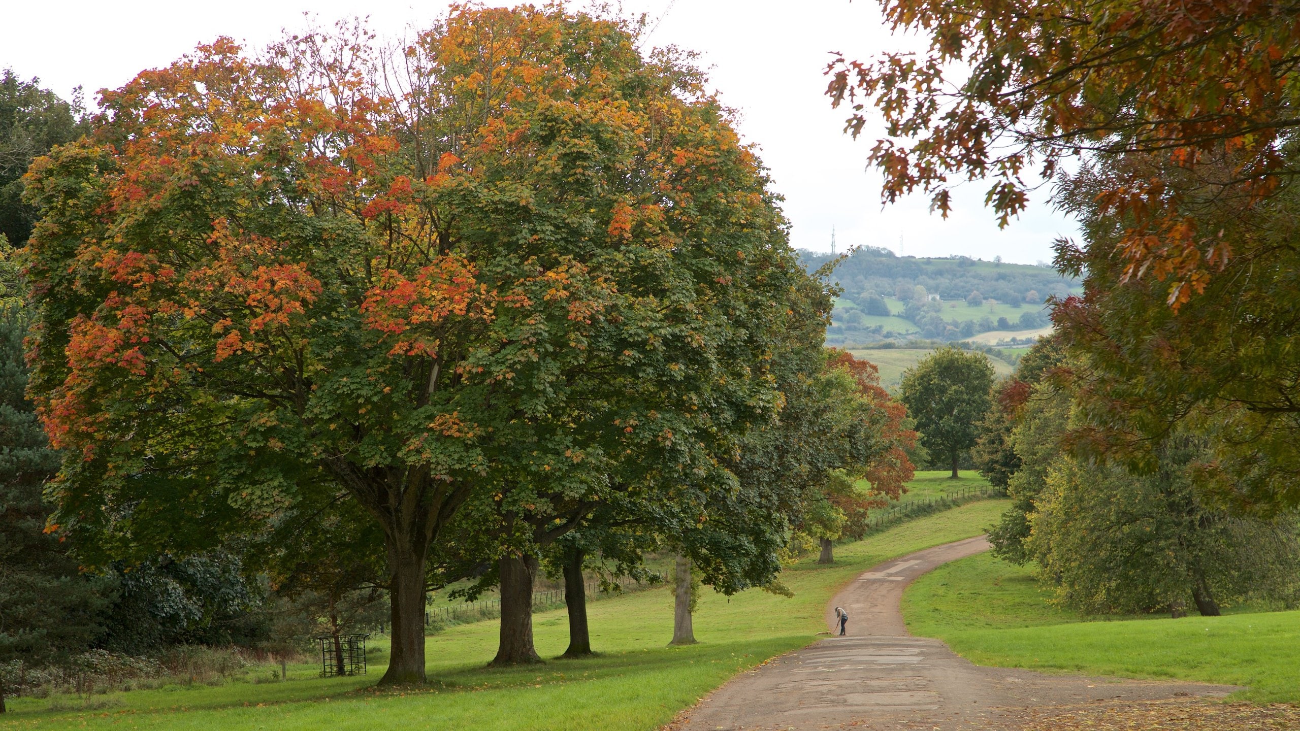 Ashton Court Mansion showing a garden