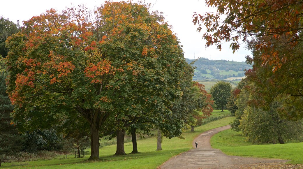 Ashton Court Mansion showing a garden