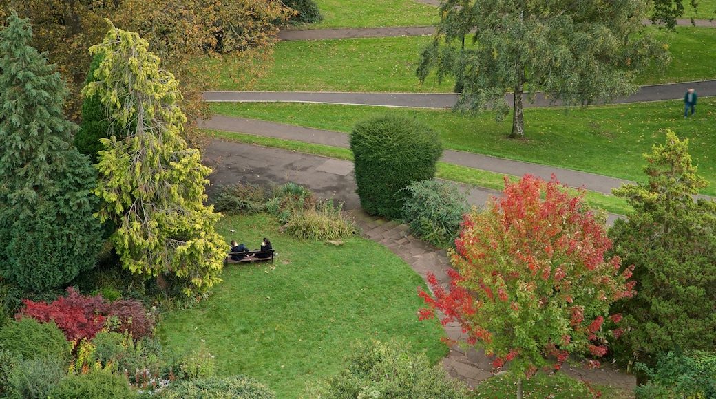 Cabot Tower showing a park