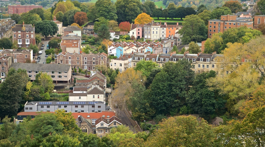 Cabot Tower showing a small town or village