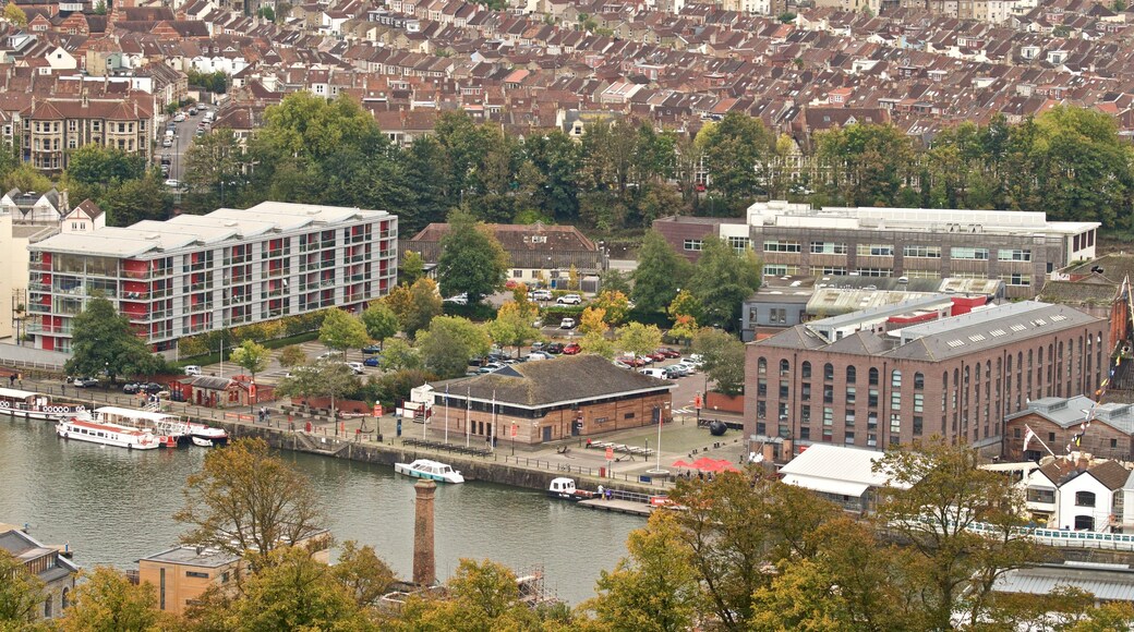 Cabot Tower which includes a city, landscape views and a river or creek