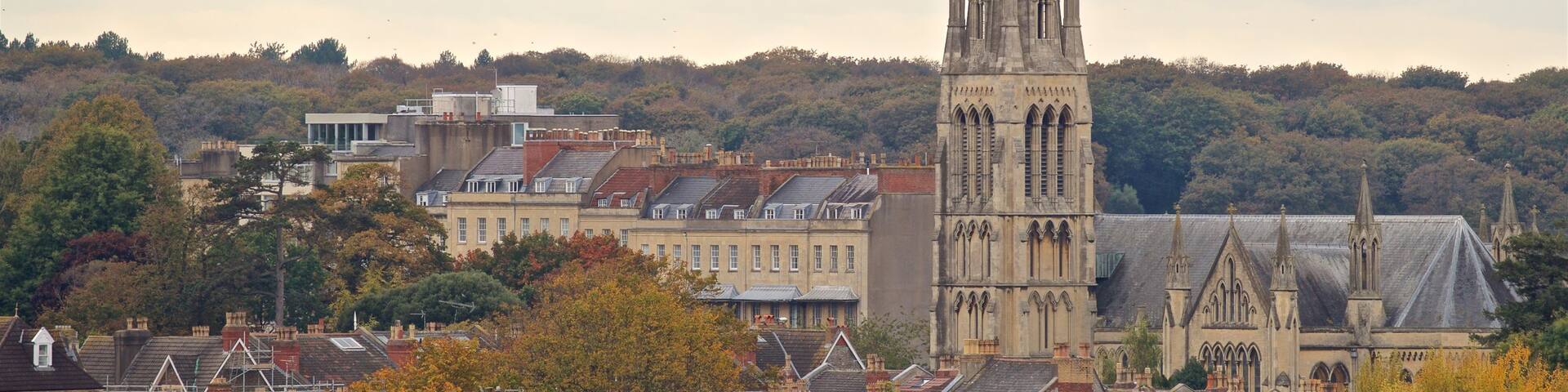 Cabot Tower showing a city, landscape views and heritage architecture