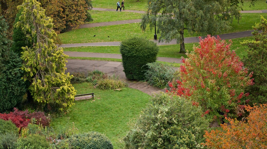 Cabot Tower che include giardino