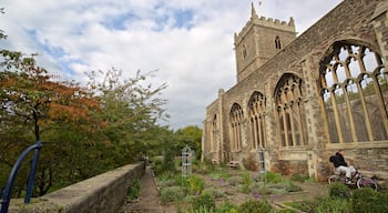 Castle Park showing a park, heritage architecture and wildflowers