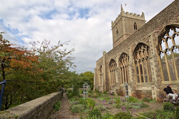 Castle Park which includes wild flowers, a garden and heritage architecture