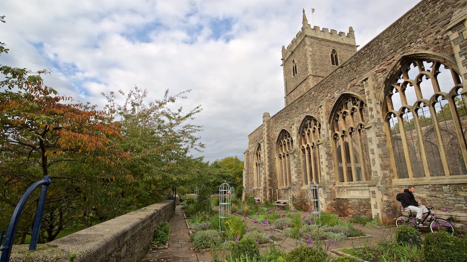 Castle Park showing a park, heritage architecture and wildflowers