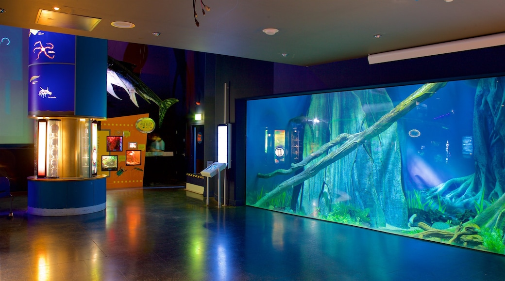 The Deep which includes interior views and marine life