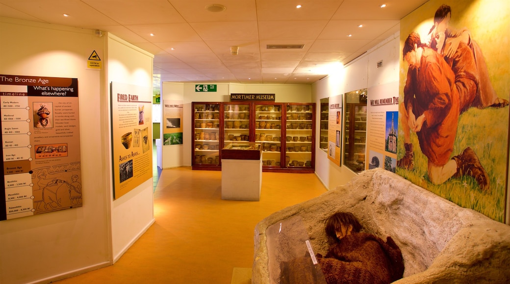 Hull and East Riding Museum which includes interior views