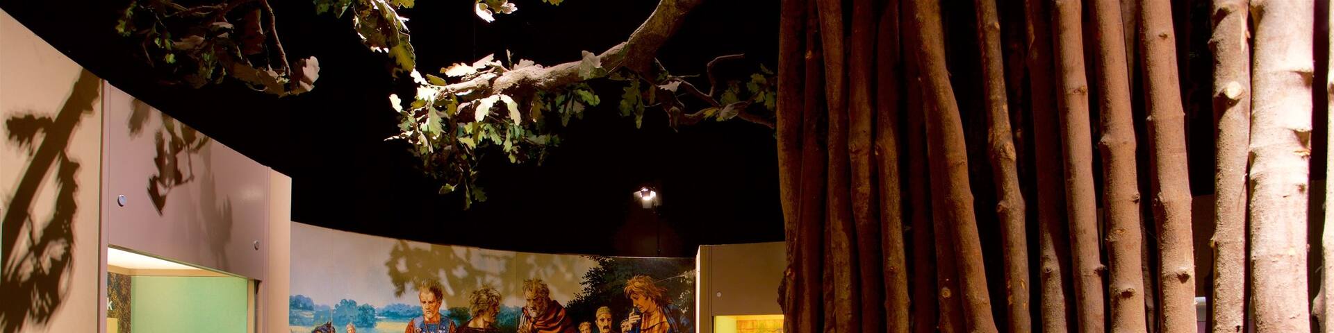 Hull and East Riding Museum which includes interior views