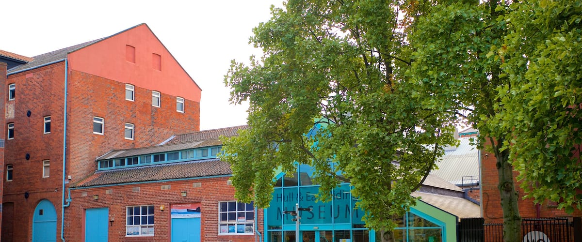 Musée d\'archéologie Hull and East Riding Museum