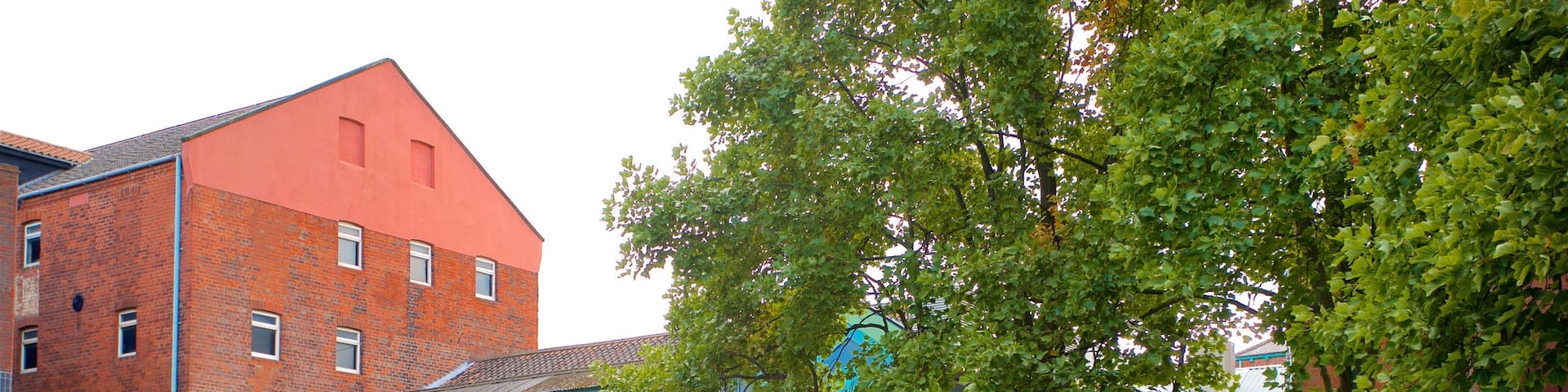 Hull and East Riding Museum as well as a small group of people