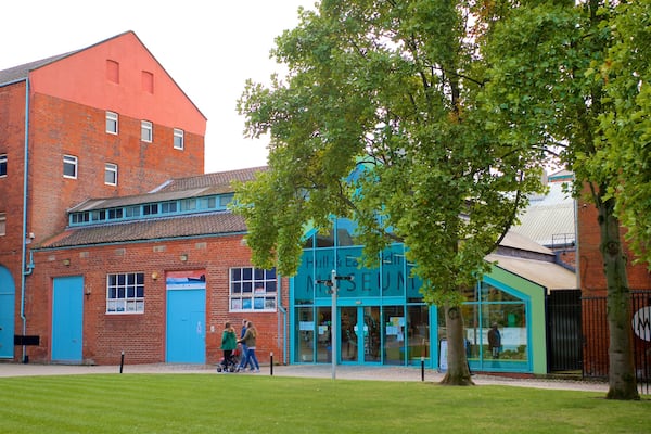 Hull and East Riding Museum as well as a small group of people