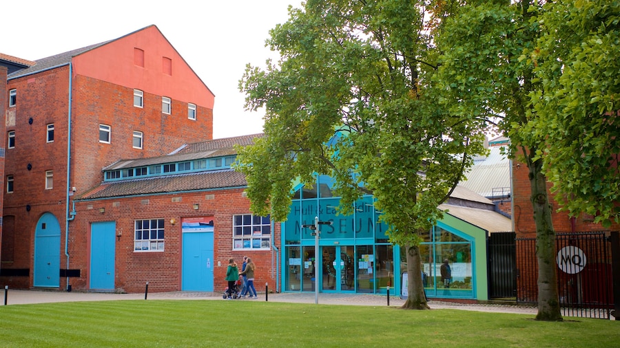 Hull and East Riding Museum as well as a small group of people