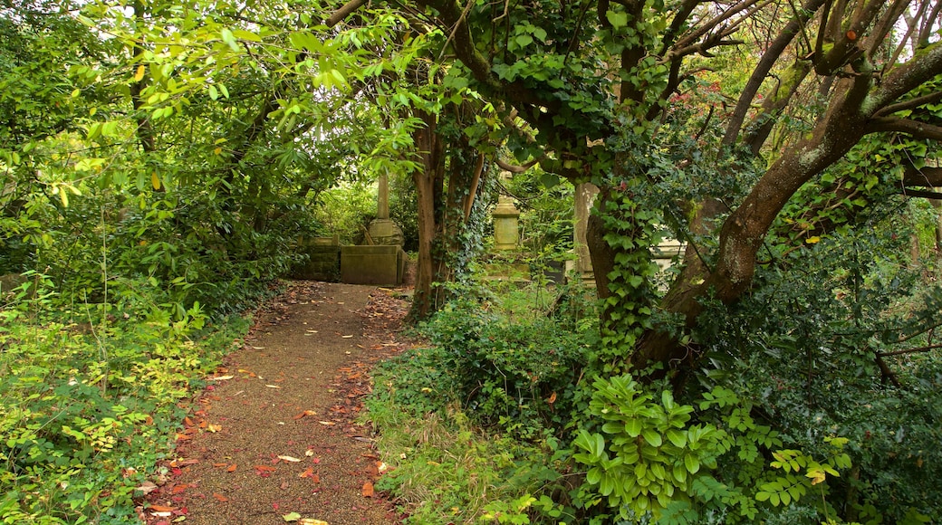 Arnos Vale Cemetery qui includes jardin