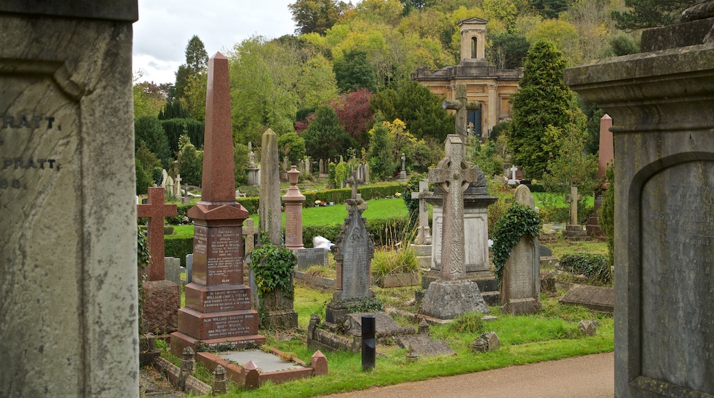 Arnos Vale Cemetery có tính năng nghĩa trang