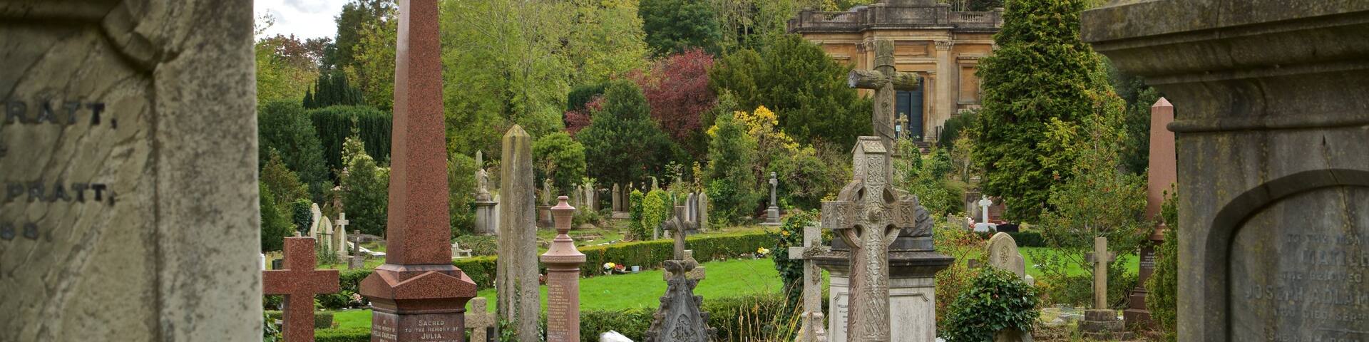Arnos Vale Cemetery showing a cemetery