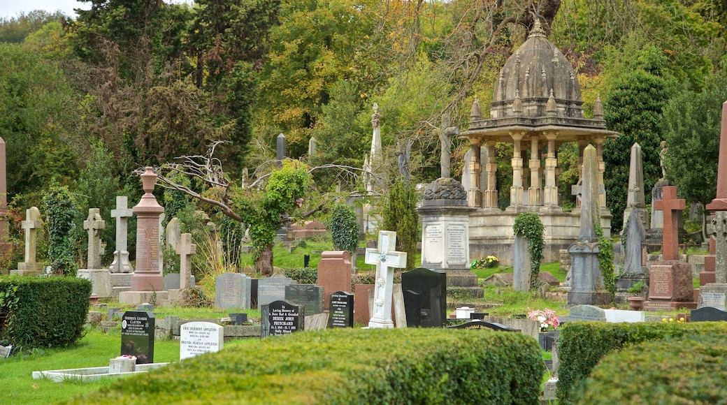 Arnos Vale Cemetery