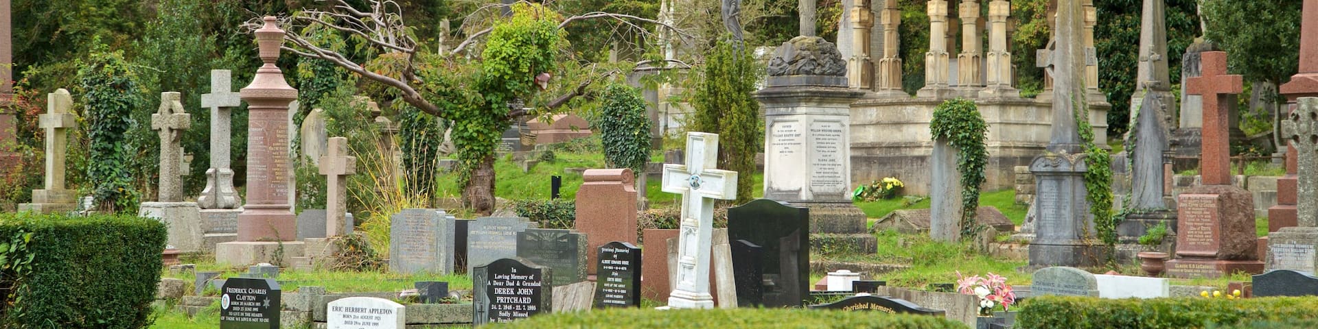 Arnos Vale Cemetery welches beinhaltet Friedhof