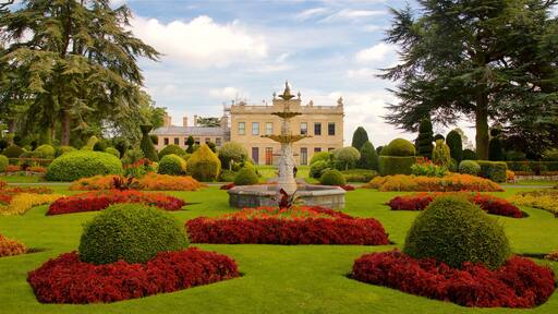 Brodsworth Hall que inclui uma fonte, um jardim e flores