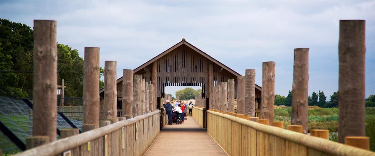 Yorkshire Wildlife Park montrant animaux de zoo et pont aussi bien que petit groupe de personnes