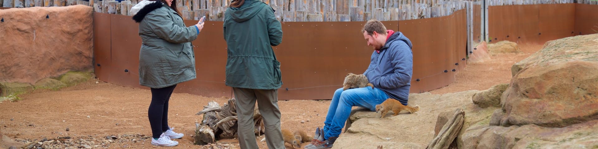 Yorkshire Wildlife Park showing cuddly or friendly animals and zoo animals as well as a small group of people