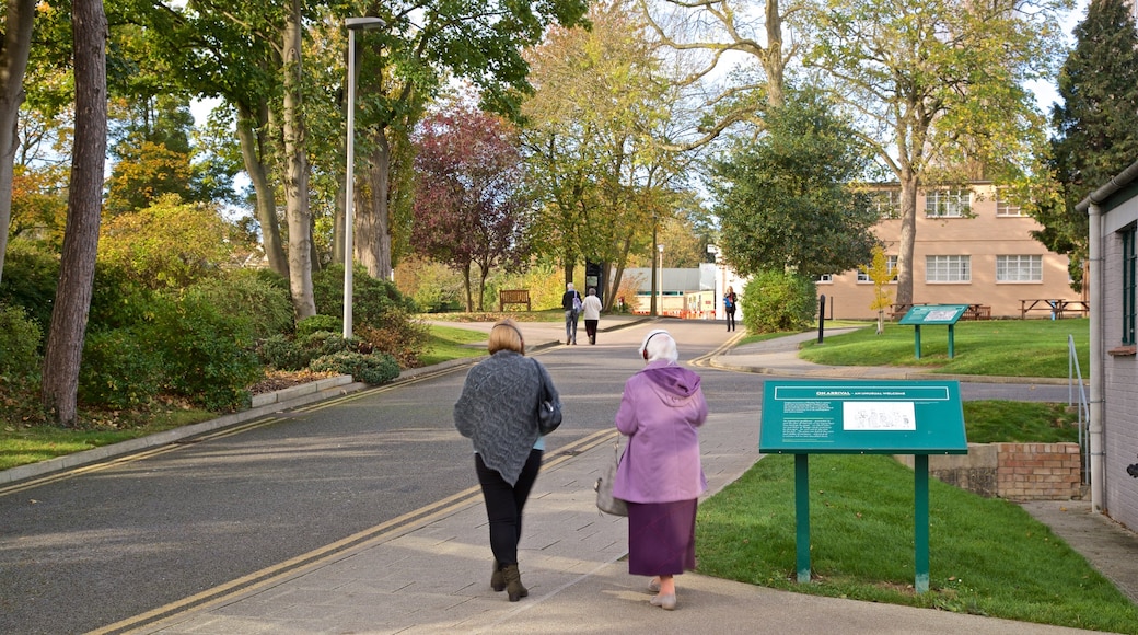 Bletchley Park som inkluderar skyltar och en trädgård såväl som ett par
