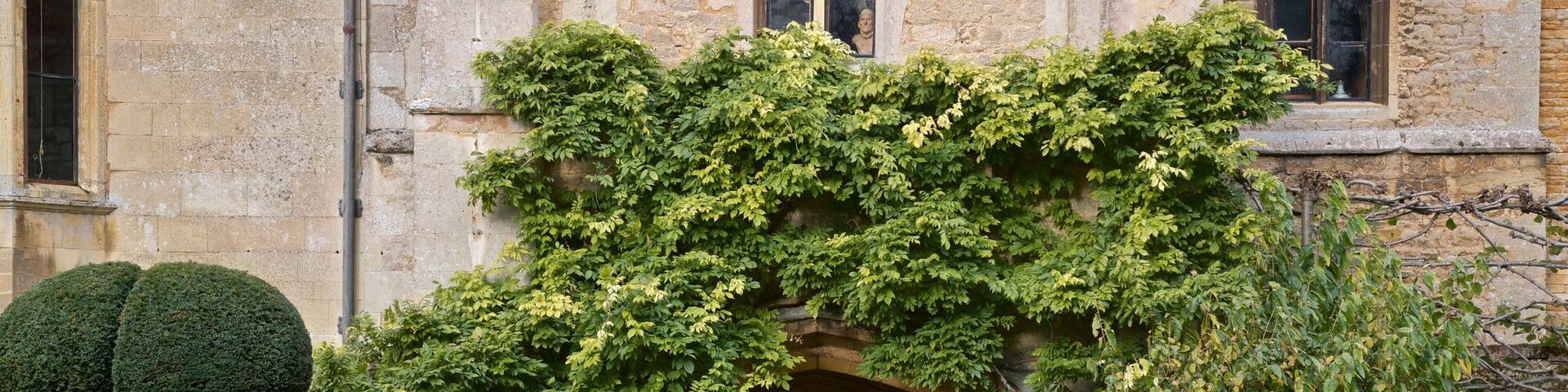 Elton Hall & Gardens showing a garden