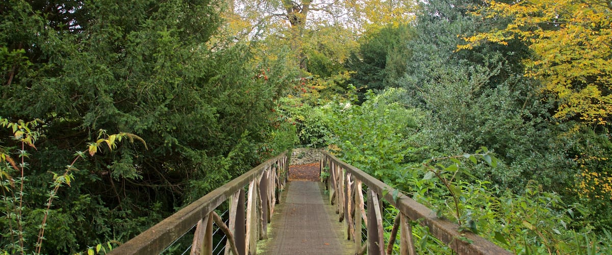 The Plantation Garden featuring a bridge