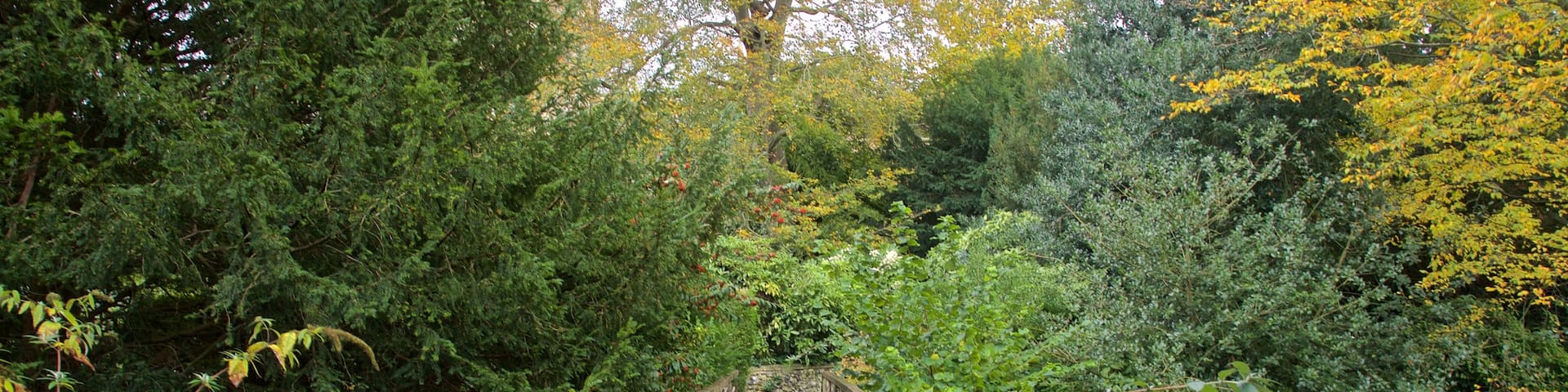 The Plantation Garden featuring a bridge