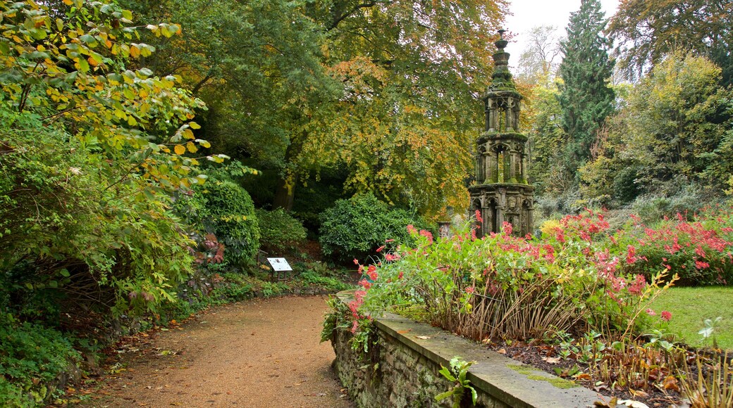 The Plantation Garden featuring puisto ja luonnonvaraiset kukat