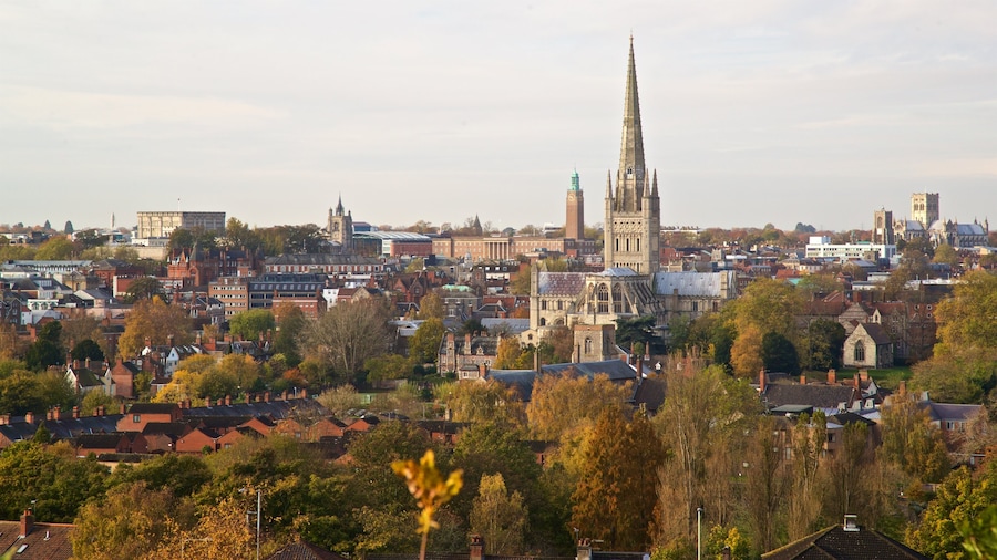 Mousehold Heath og byder på udsigt over landskaber, kulturarvsgenstande og en by