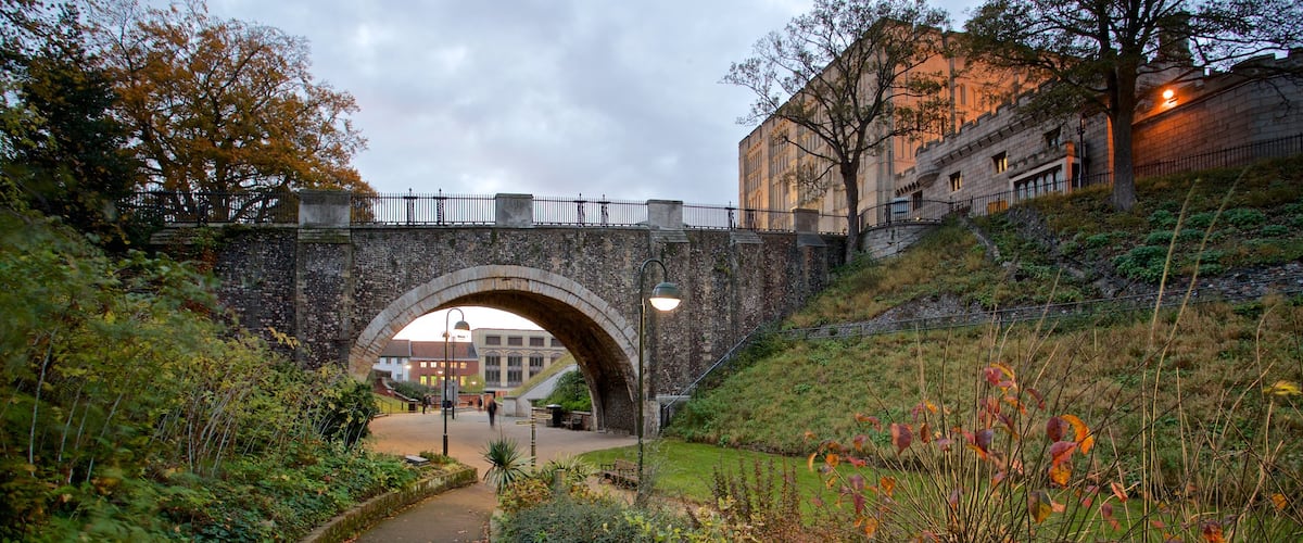 Castillo de Norwich ofreciendo un jardín y un puente