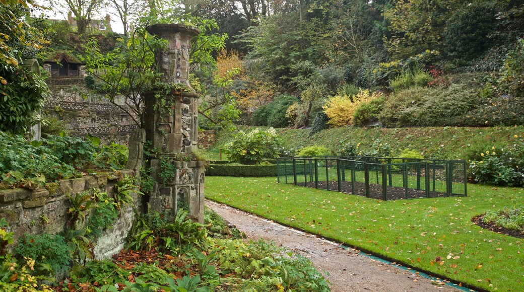 Jardín The Plantation Garden mostrando un parque