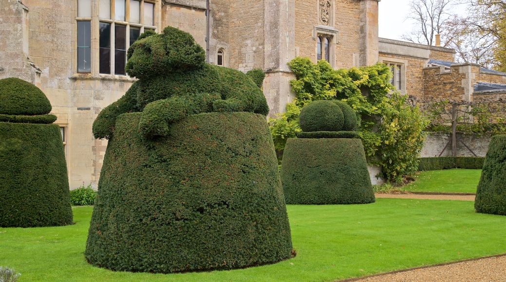 Elton Hall & Gardens showing a park