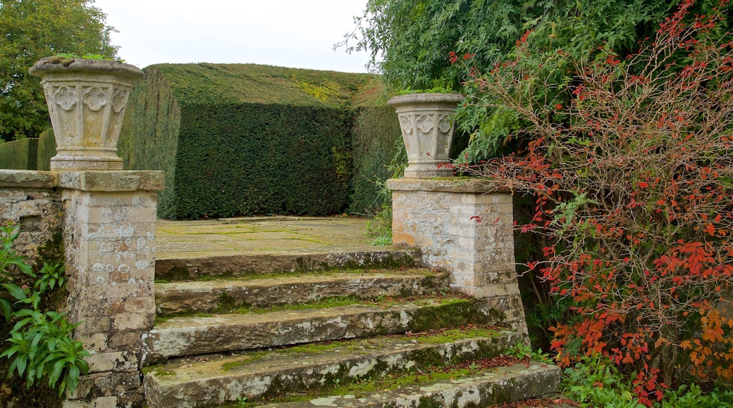 Elton Hall & Gardens mit einem Garten und Geschichtliches