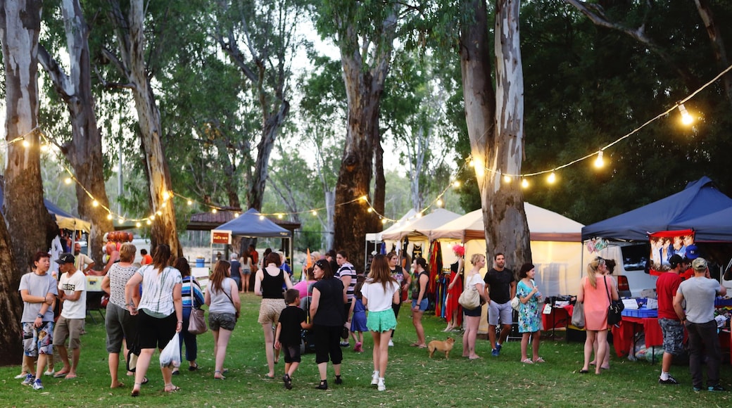 Photo provided by Moira Shire Council
