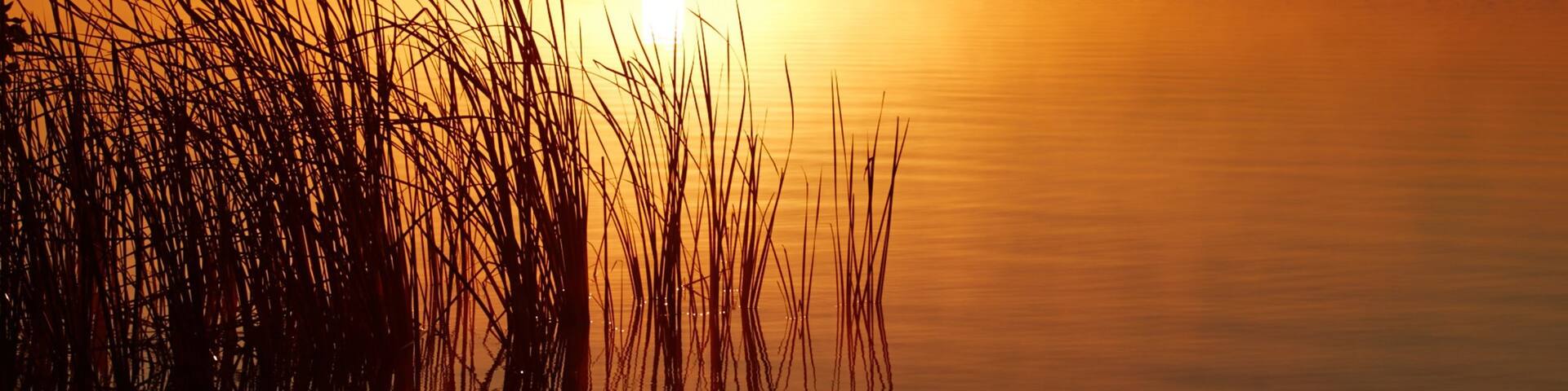 Swan Hill featuring a sunset and wetlands