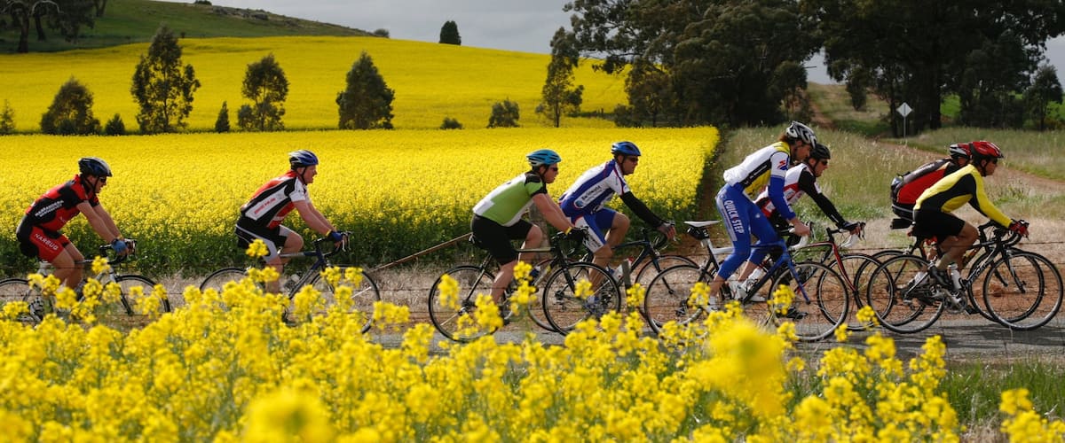 Shepparton que incluye ciclismo de carretera y flores silvestres y también un pequeño grupo de personas