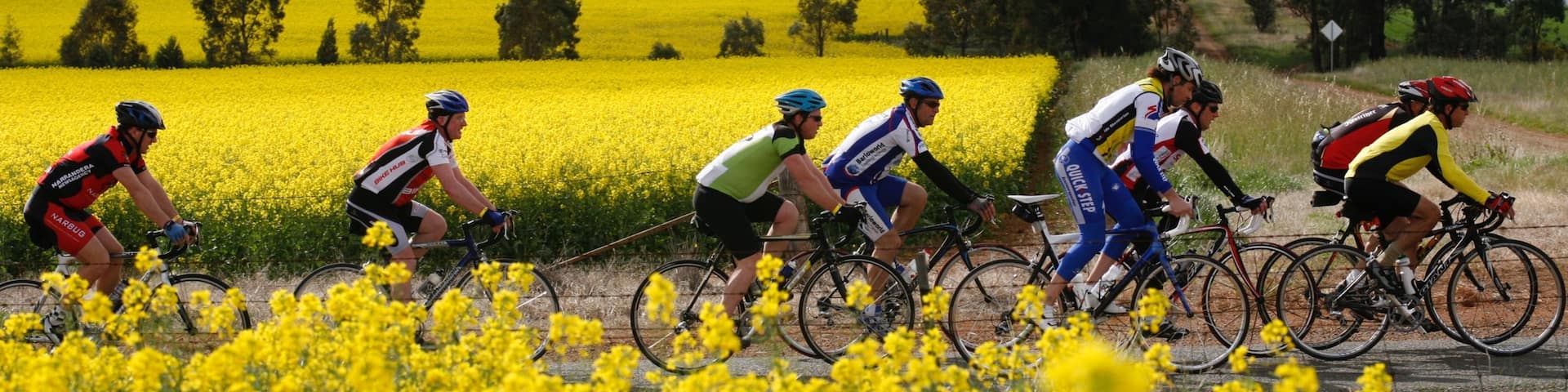Shepparton featuring wildflowers and road cycling as well as a small group of people