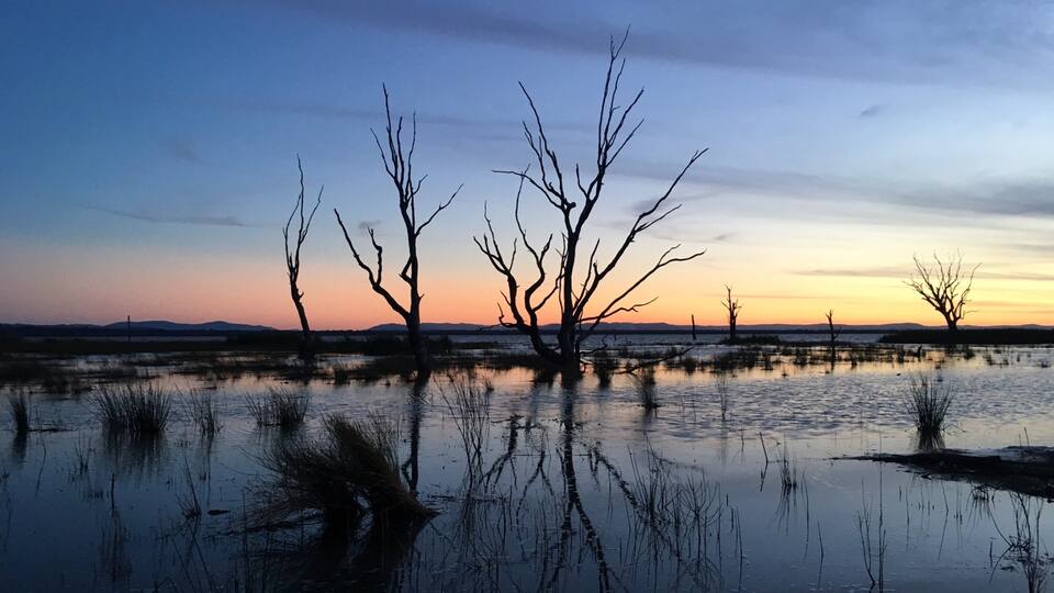 Benalla ofreciendo humedales, una puesta de sol y vistas de paisajes