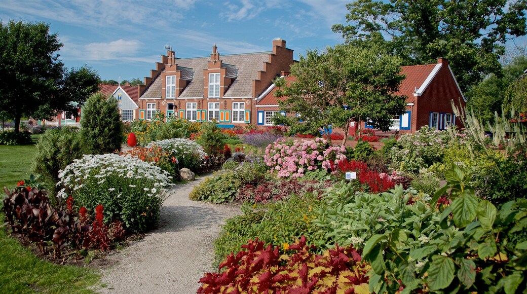 Windmill Island showing wild flowers and a garden