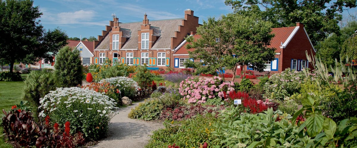 Windmill Island showing wild flowers and a garden