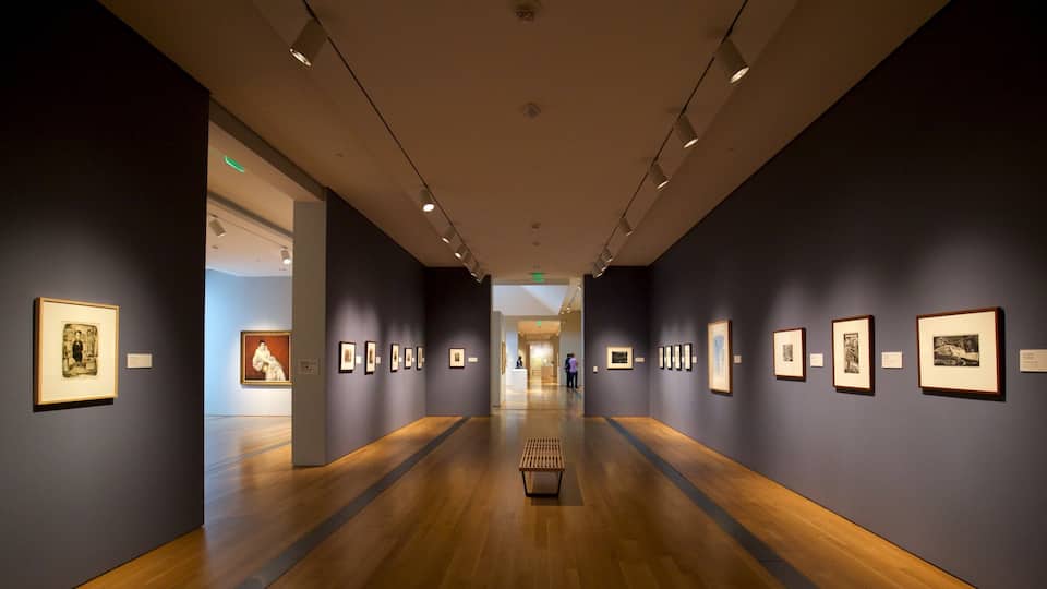 Grand Rapids Art Museum que incluye vistas interiores y arte